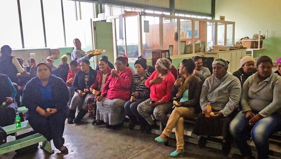 Paternoster Livelihoods Assessments Project