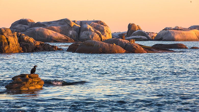 Scenic Sunset of Paternoster Rocks in Ocean